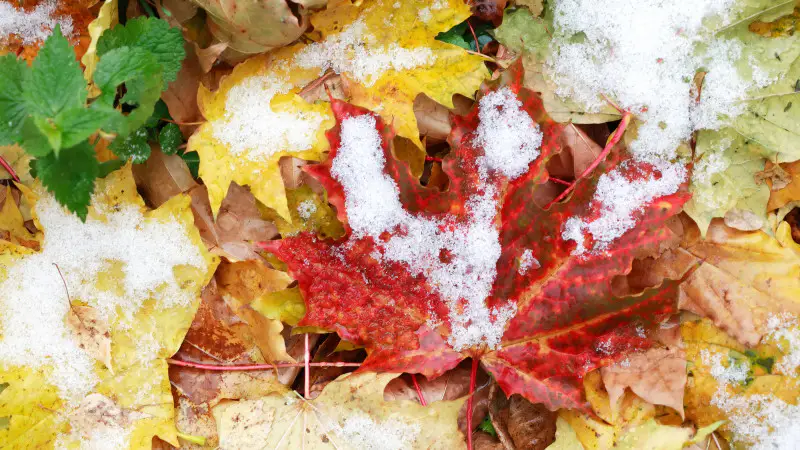 Снег и похолодание ожидаются в городах Казахстана 20 сентября Астане