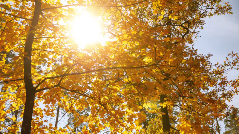 Жаркая погода в Казахстане: как высокие температуры влияют на повседневную жизнь граждан Астане