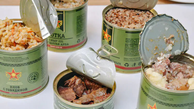 Депутат Мажилиса Айгуль раскритиковала правительство за годовые попытки повысить стоимость солдатского пайка в казахстанской армии Астане