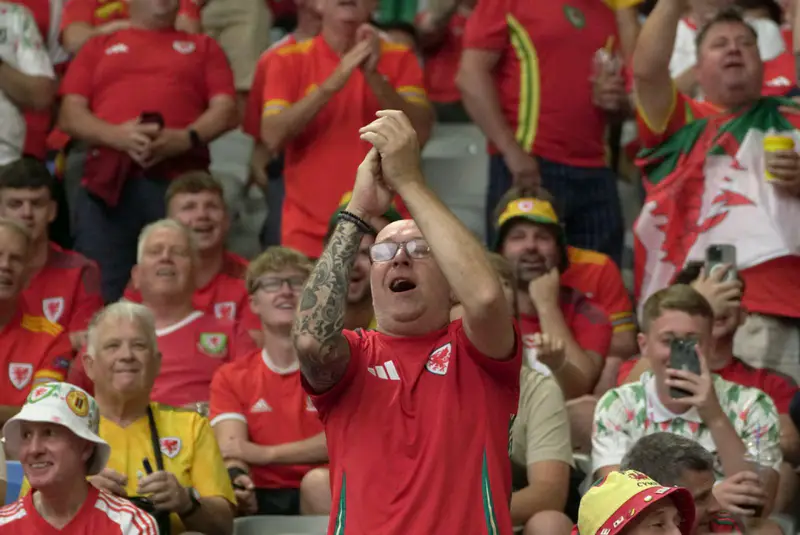 Болельщики Уэльса