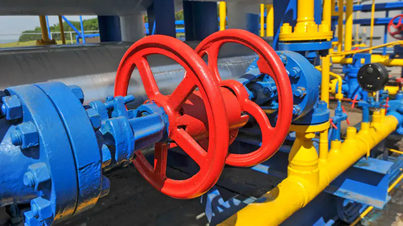 Министерство энергетики Казахстана подтвердило рост цен на газ для потребителей, отметив, что это увеличение не связано с уровнем добычи в стране. Астане