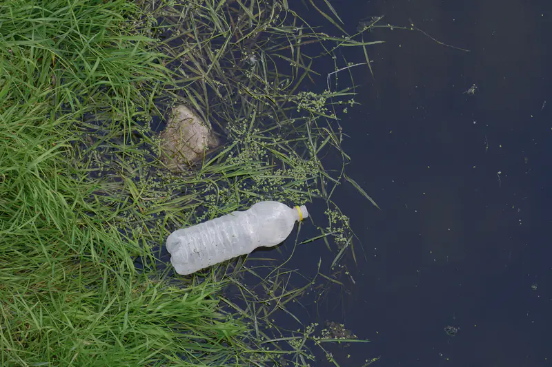 Мусор на берегу реки