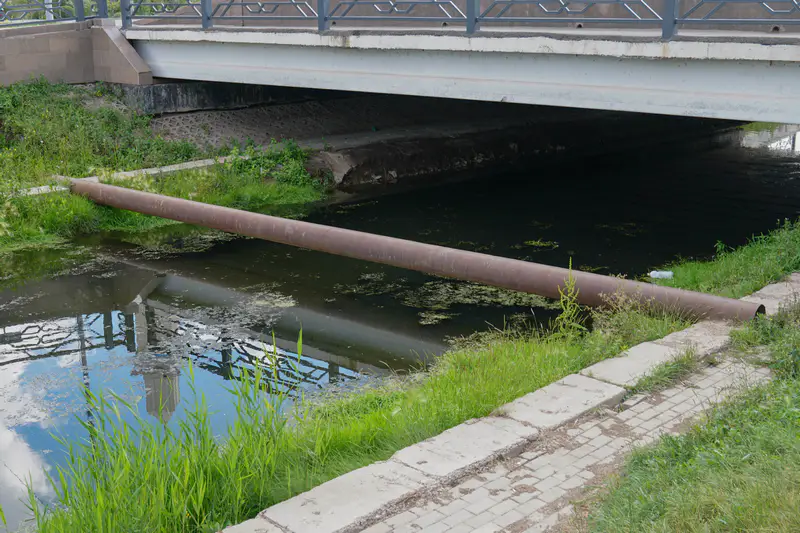 Тина и водоросли