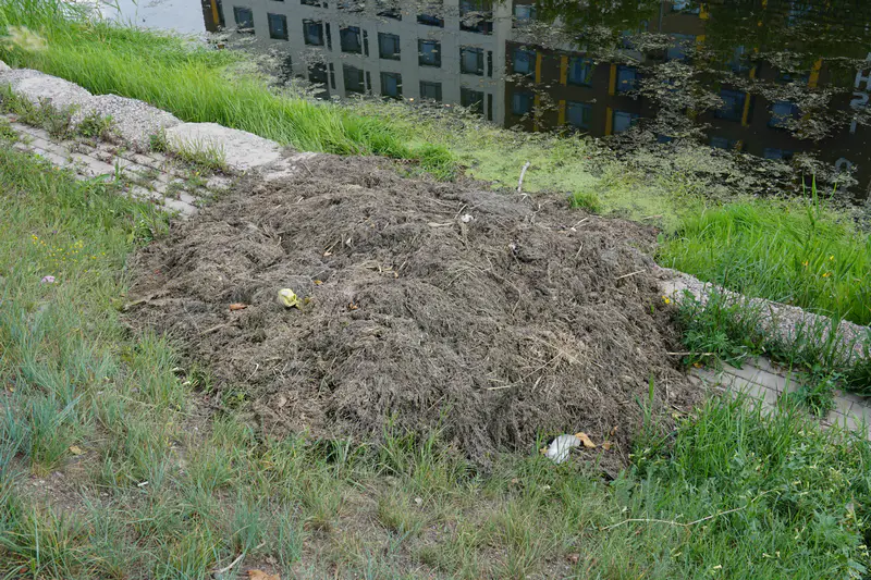 ручей Сарыбулак