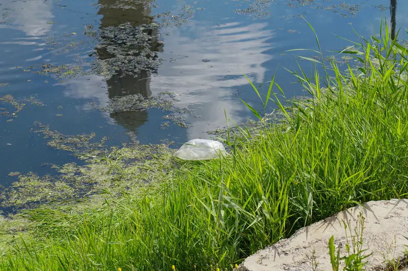 Сарыбулак Астана