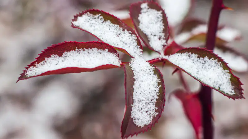 Снежная волна в Казахстане: прогноз погоды от Казгидромета на 30 сентября, 1 и 2 октября Астане