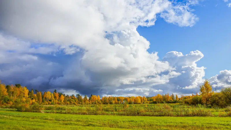 От зимы до лета: Казахстан ждет погодные контрасты! Астане