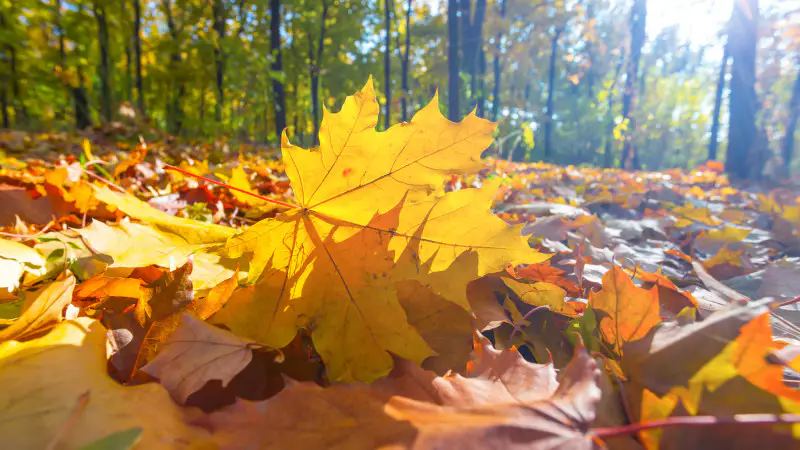 Казахстанцы готовятся к резкому перепаду температур: как изменения погоды влияют на повседневную жизнь и здоровье населения Астане