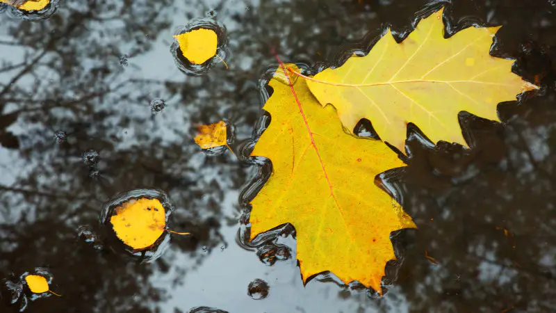Циклон приносит резкое похолодание и дожди в Казахстан: синоптики прогнозируют ухудшение погоды 17 сентября Астане