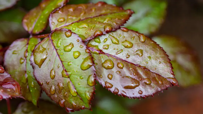 Казахстан готовится к резкому похолоданию и грозам: синоптики предупреждают о непогоде 11 сентября Астане