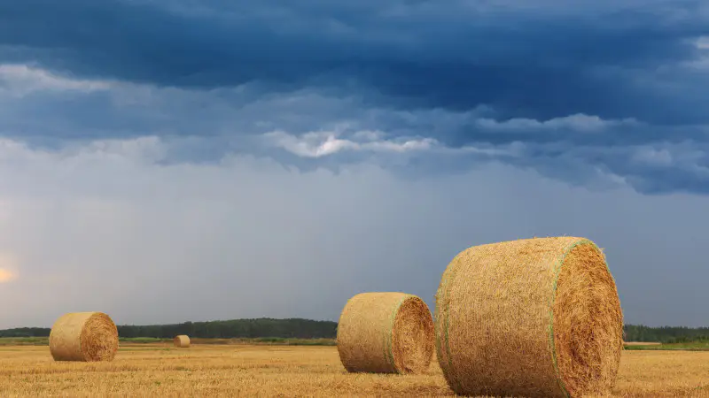 Сильные порывы ветра и грозы в Казахстане: возможные последствия для населения и инфраструктуры Астане