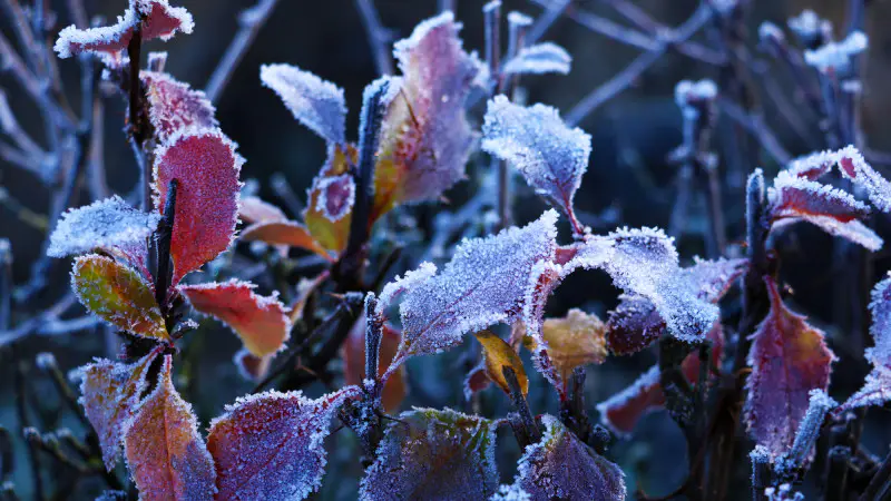 Сентябрьский циклон: Казахстан готовится к ливням и похолоданию, прогноз от синоптиков Казгидромета Астане