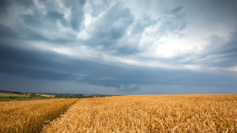 Казахстан под натиском стихии: грозы и сильный ветер готовят бурю в небесах Астане