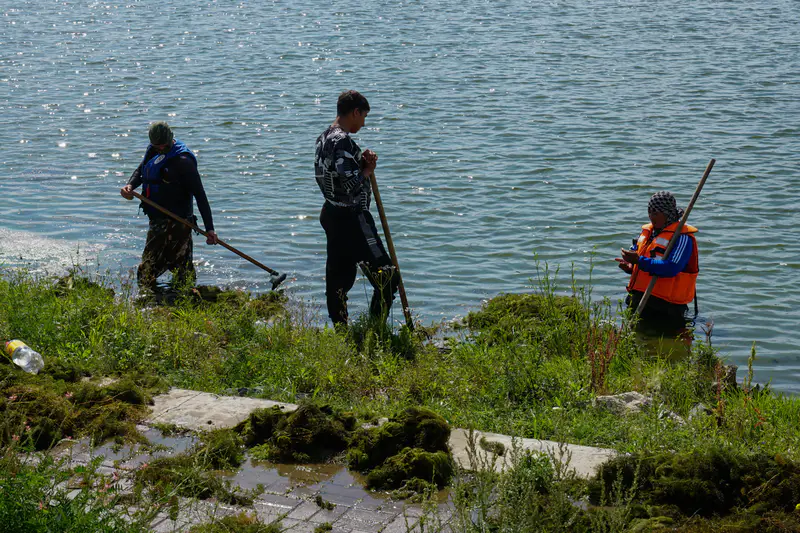 Рабочие чистят реку