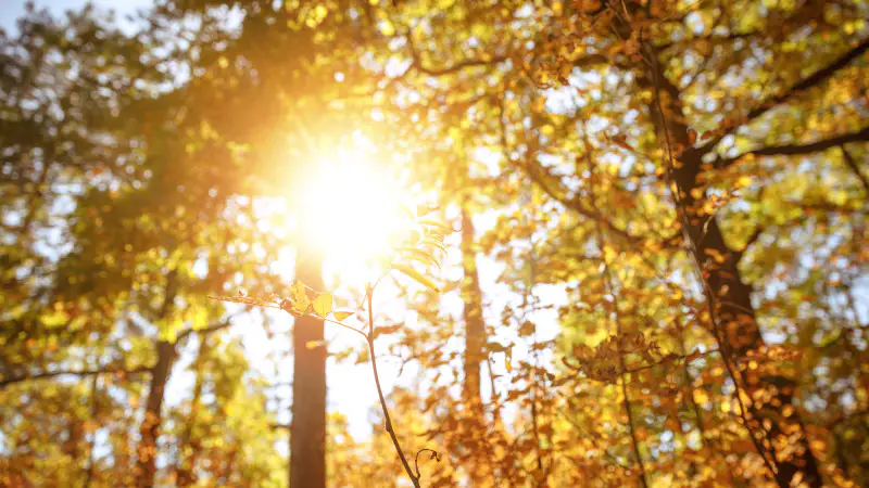 Тепло возвращается в Казахстан: синоптики прогнозируют повышение температуры и улучшение погодных условий на выходных Астане