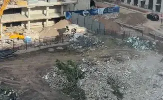 Астанчане протестуют против вырубки деревьев ради строительства: общественное недовольство растет