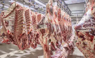 Казахстан вводит квоты на экспорт говядины и продлевает ограничения на топливо: возможные последствия для рынка и потребителей