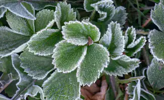 Казахстан в плену осенних холодов: заморозки на горизонте 3 сентября