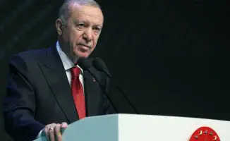 Эрдоган осудил действия Израиля в Газе, подтвердив поддержку Анкары палестинцам