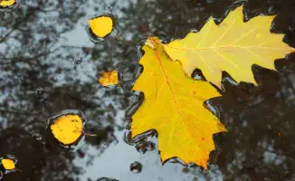 Циклон приносит резкое похолодание и дожди в Казахстан: синоптики прогнозируют ухудшение погоды 17 сентября