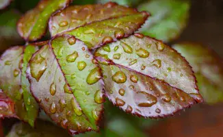 Казахстан готовится к резкому похолоданию и грозам: синоптики предупреждают о непогоде 11 сентября