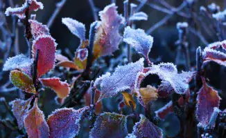 Сентябрьский циклон: Казахстан готовится к ливням и похолоданию, прогноз от синоптиков Казгидромета