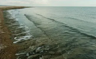 Северный Арал оживает: Казахстан направил миллиарды кубометров воды и опережает график восстановления