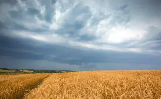 Казахстан под натиском стихии: грозы и сильный ветер готовят бурю в небесах