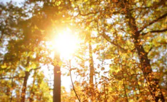 Тепло возвращается в Казахстан: синоптики прогнозируют повышение температуры и улучшение погодных условий на выходных