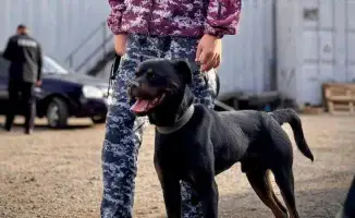 Астана: Проверка пунктов выдачи на наркотики в рамках месячника борьбы с наркопреступностью