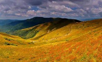 Циклон с грозами и шквалистым ветром ожидается в Казахстане: синоптики предупреждают о резком ухудшении погоды