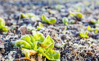 Казахстан готовится к резким изменениям погоды: заморозки и пыльные бури могут повлиять на повседневную жизнь граждан