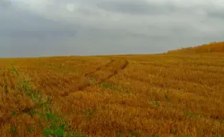 Казахстанцы готовятся к смене жаркой погоды на дожди и грозы: прогноз на 9 сентября
