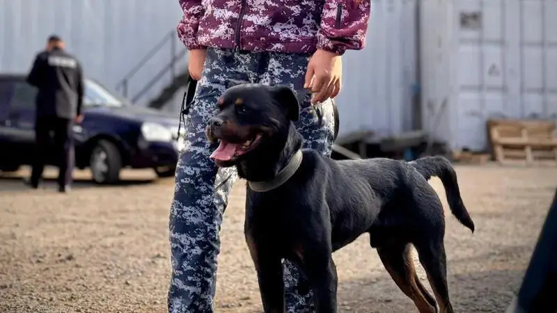 Астана: Проверка пунктов выдачи на наркотики в рамках месячника борьбы с наркопреступностью Астане