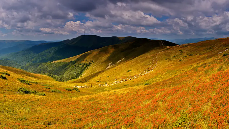 Циклон с грозами и шквалистым ветром ожидается в Казахстане: синоптики предупреждают о резком ухудшении погоды Астане