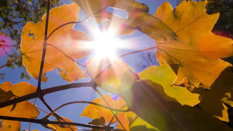 Погода в Казахстане 6 сентября: температура до +37 от Казгидромета Астане