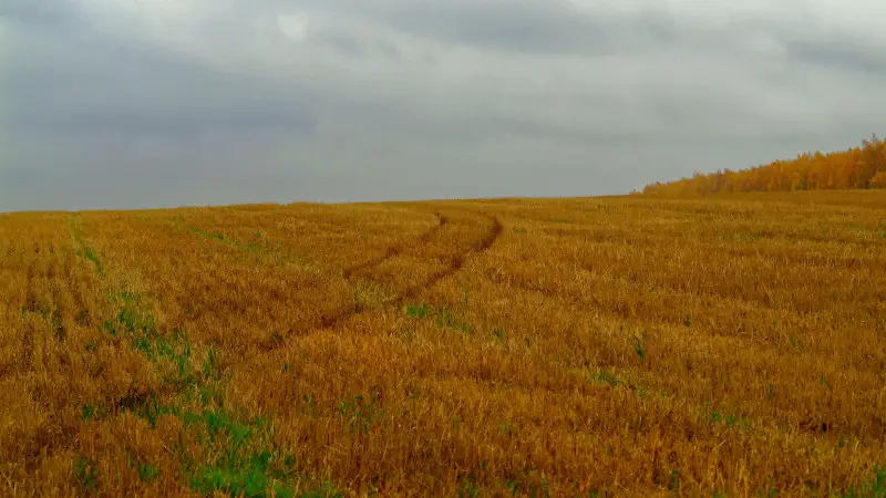 Казахстанцы готовятся к смене жаркой погоды на дожди и грозы: прогноз на 9 сентября Астане