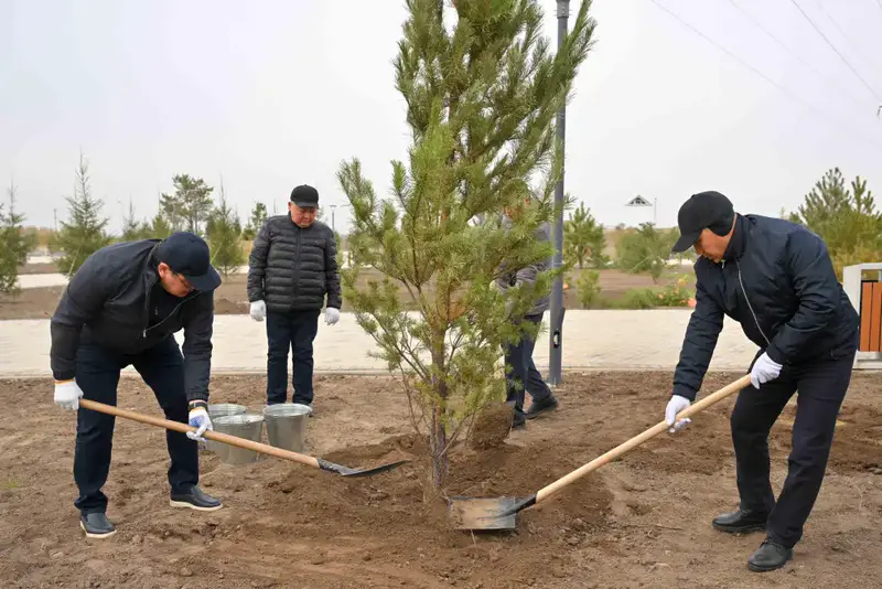 В области Абай высажено 5 тысяч саженцев деревьев (7)