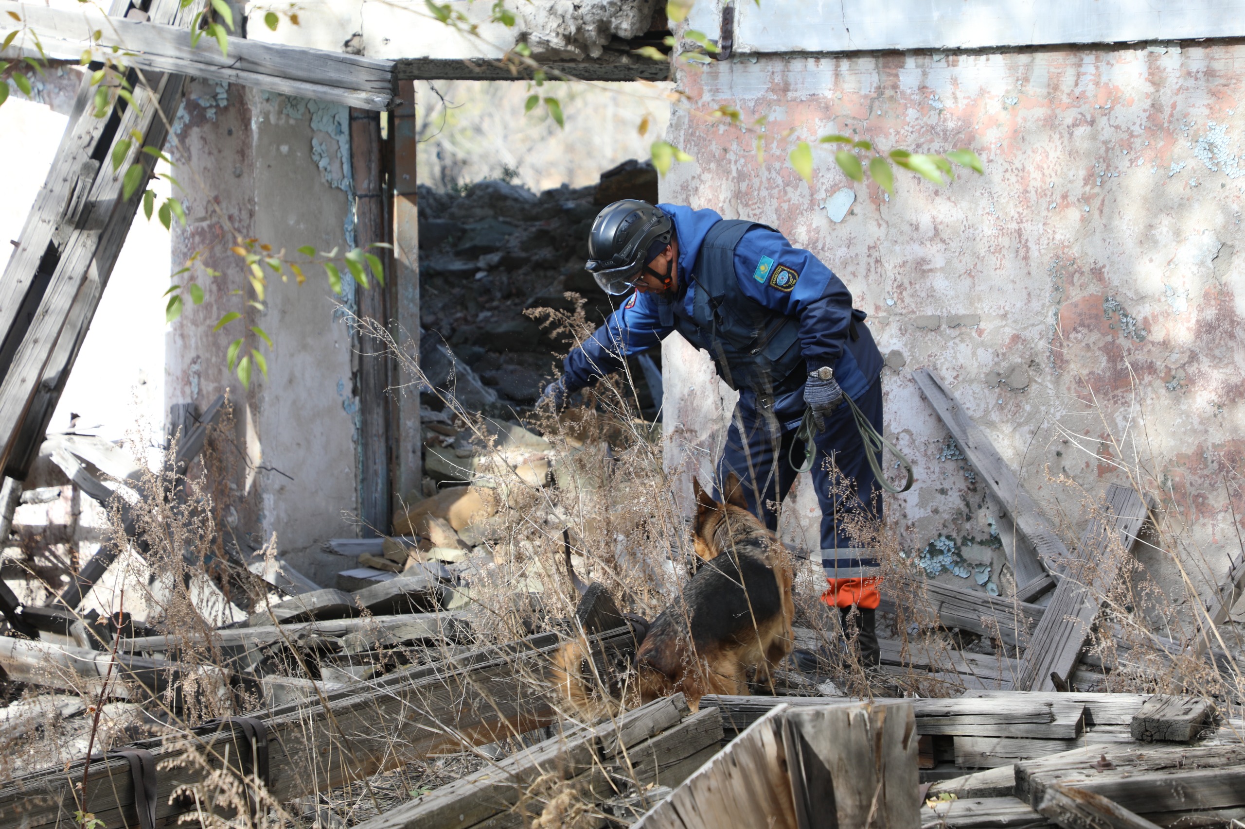 Оценка готовности кинологических расчётов: собаки-спасатели МЧС прошли аттестацию (8)