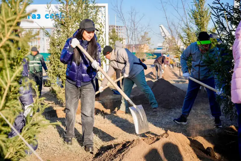 Создание более 1 млн зеленых насаждений в Астане: шаг к улучшению городской экологии и комфорта Астане