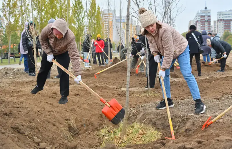 Сотрудники АДГС и АГУ приняли участие в общегородском субботнике (2)