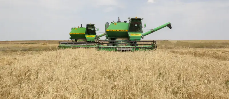 Алматинские фермеры собрали рекордный урожай зерна и кукурузы (2)