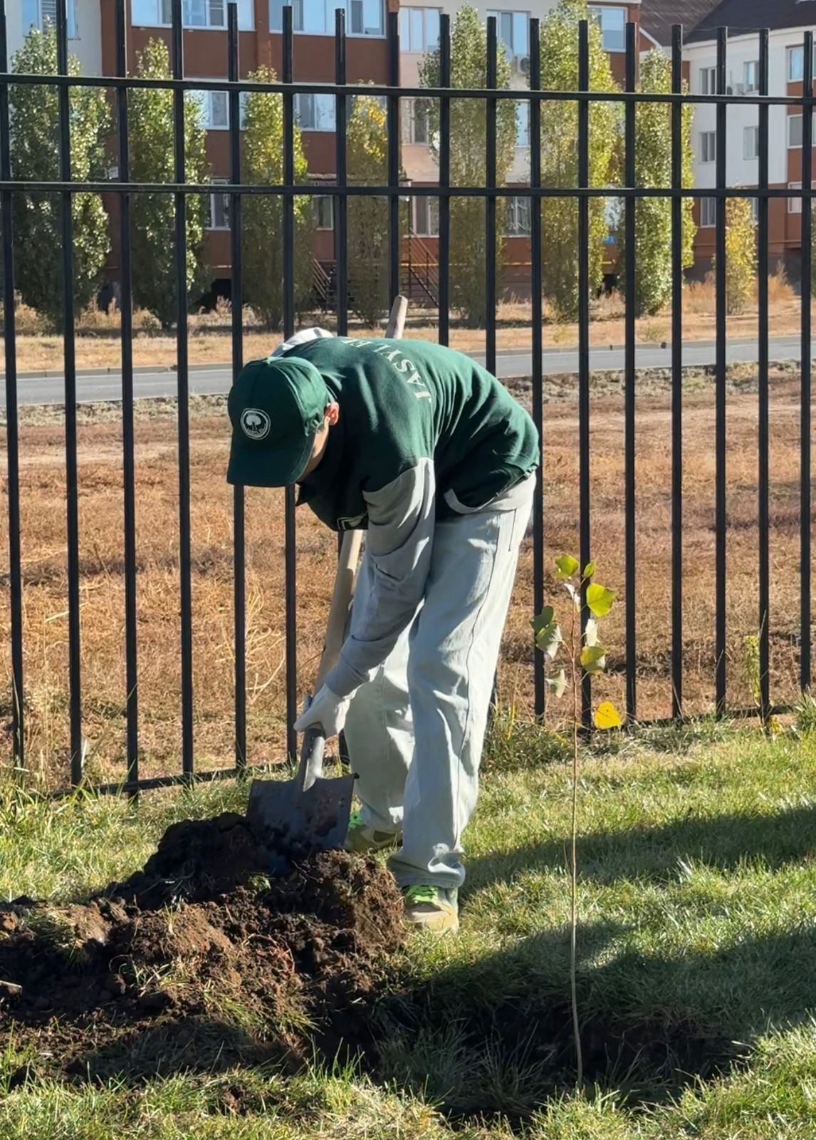 Осенняя кампания: Молодёжь высадила 50 саженцев тополей (3)