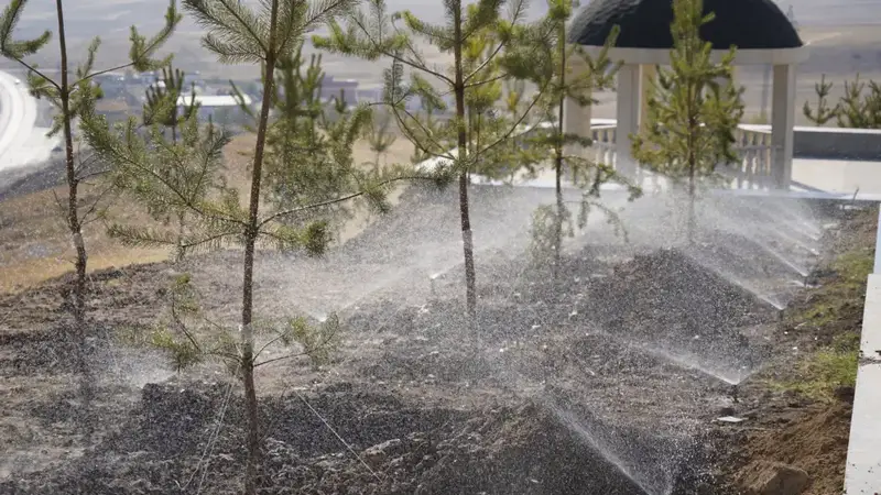 Экологическая ответственность: более 3000 жителей Казыгурта активно участвуют в субботнике Астане