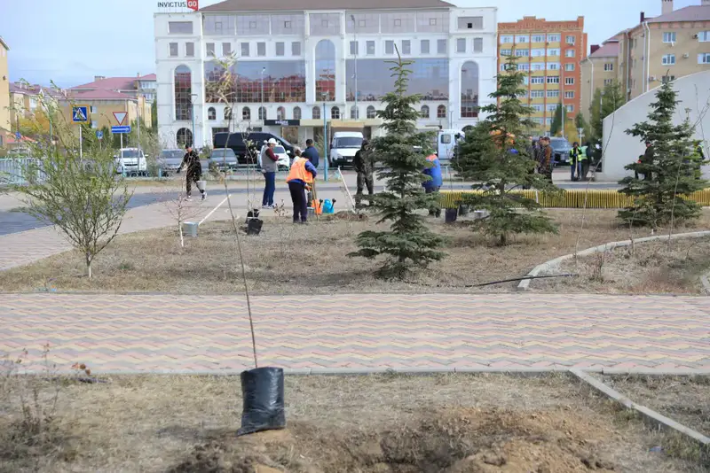 В рамках акции «Таза Казахстан» в Актюбинской области было высажено около 7300 саженцев (8)