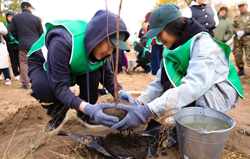 Ақтөбе облысында «Мектеп орманшылығы» жобасы аясында 1350 түп ағаш отырғызылды (6)