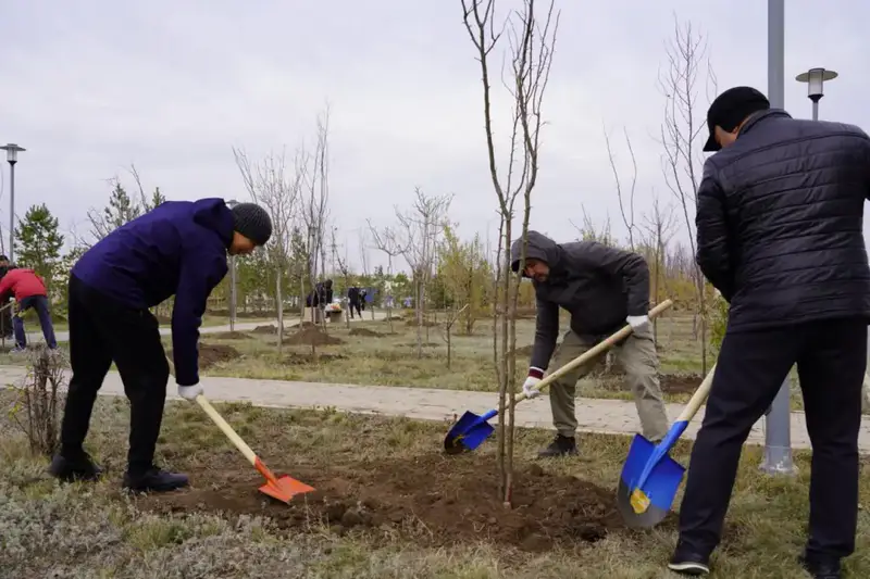Более 300 деревьев высадили в столичном парке "Коктал" (5)