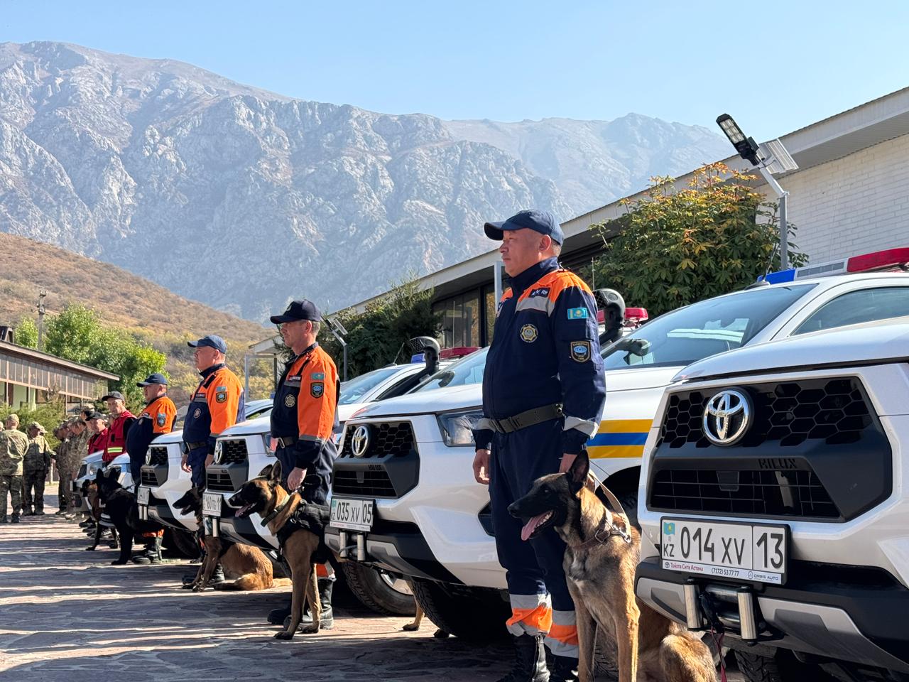 Собаки-спасатели МЧС успешно аттестованы в регионе