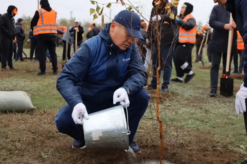 В Экибастузе высажено более 300 деревьев в рамках акции 'Таза Қазақстан' Астане