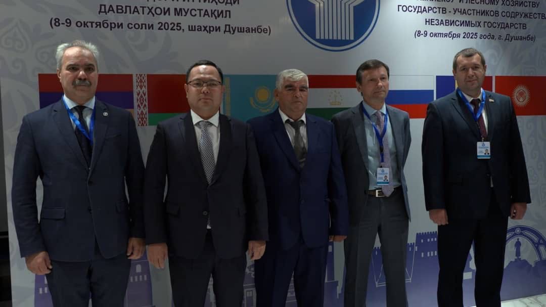 Казахстан укрепляет сотрудничество в сфере лесного хозяйства стран СНГ (2)